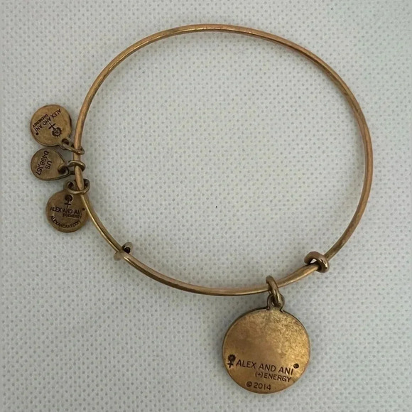 Alex and Ani | Mother/child Hand in Hand charm bracelet. - Picture 11 of 12